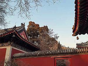 2023 02 05  PEKIN - WANSHOU TEMPLE LONGEVITE BIENVEILLANCE (18)